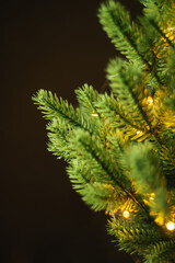 Festive golden bokeh among fir branches, warm Christmas background. High quality photo