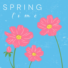 Spring Flowers Greeting Card. Flowers Poster. Cosmos Flower Vector hand drawn Illustrations