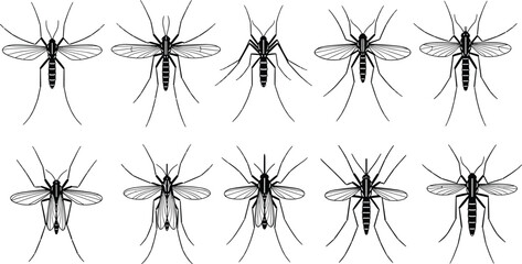 Set of Bear Silhouettes, Grizzly and Polar Bear Poses, Wild Animal Collection, Forest and Wildlife Icons, Outdoors Hunting and Nature Vector Graphic. © AVIJIT