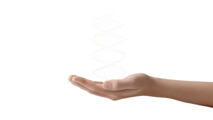 Hand Holding DNA Strand on White Background