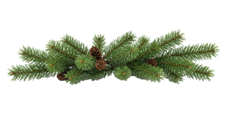 Hyper-detailed macro shot of a vibrant green fraser fir branch dusted with subtle snow and tiny pinecones, isolated on a bright high-key background with copy space. Concept for luxury christmas decor