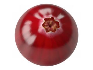 Single shiny red cranberry with star shaped blossom end detail isolated on a transparent background