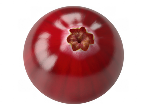 Single shiny red cranberry with star shaped blossom end detail isolated on a transparent background
