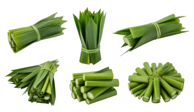 Six arrangements of green pandan leaves tied with rubber bands on black background isolated on a transparent background - Powered by Adobe