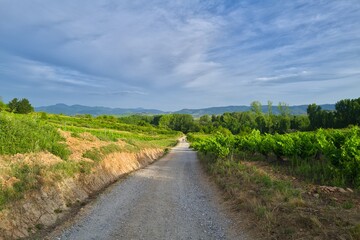 길거리, 경관, sky, 들판, 네이처, 목초, 경로, 여름
