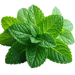 Fresh green spearmint leaves, vibrant and refreshing, closeup shot