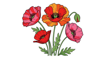 Vibrant poppy flowers illustration with green leaves and buds