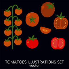 Tomato vegetable vector illustration set.