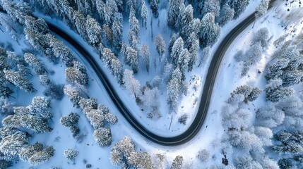 Aerial view of winding curved road through snowy winter forest with tall trees covered in frost creating scenic cold season landscape on white background