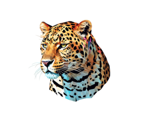 Jaguar head portrait with colorful geometric patterns isolated on transparent background