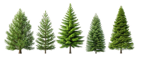 Obraz premium Realistic Collection of Various Green Trees Isolated on White Background