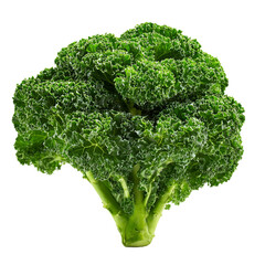 Kale isolated on with white background(1)