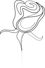 rose flower one line art vector illustration,5