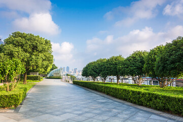Paved Pathway with Green Trees and Blue Sky in Urban Park