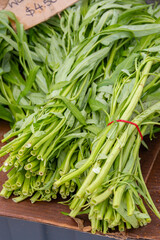 Water spinach bundle presented for sale