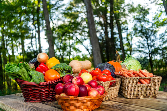 Healthy food and diet. Dieting with organic vegetable harvest. Autumn vegetable harvest. Harvesting in countryside. Healthy farming and harvesting. Vitamin harvest. Basket full of vegetable, banner