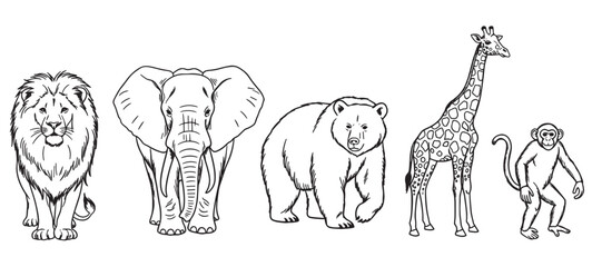 Fototapeta na wymiar Collection of five wild animal line art drawings featuring a lion, elephant, bear, giraffe, and monkey, presented in a simple black and white sketch illustration style