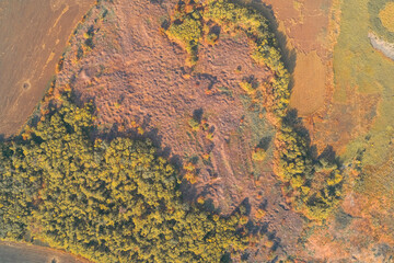 Abstract drone shot of a dry, reddish meadow enclosed by a vibrant green and yellow autumn forest. The warm sunlight reveals the texture of the wild grass and the contrast with nearby plowed fields.
