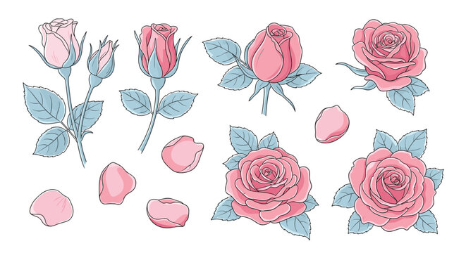 Hand-drawn illustration set featuring elegant pink rose flowers in various stages, from delicate buds to fully bloomed petals, against a white background.