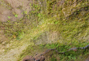 Drone view of rock formations and moss texture in quarry. Nature and environment texture from above