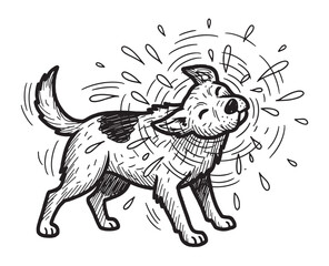 Fototapeta premium Happy cartoon dog shaking water off its wet fur after a bath, with droplets splashing everywhere in a playful hand-drawn black and white sketch style illustration