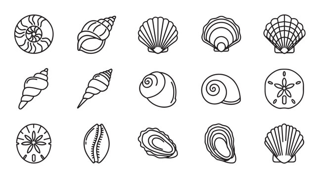 Various seashell icons in a black outline style featuring different types of marine life shells like scallop, conch, nautilus, and sand dollar in a minimalist graphic set