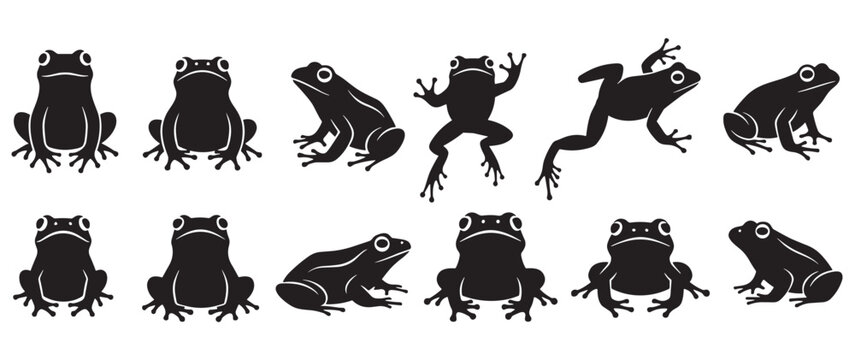 Collection of black frog silhouettes in various dynamic poses, including sitting, jumping, and crawling, presented as a graphic icon set for nature and wildlife themes