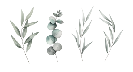 Delicate watercolor illustrations of eucalyptus and willow branches on a stark black background