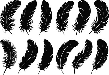 Feather silhouette set illustration