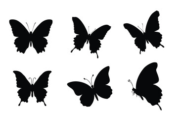 Set of  Butterfly Silhouettes in Various Flying and Resting Poses