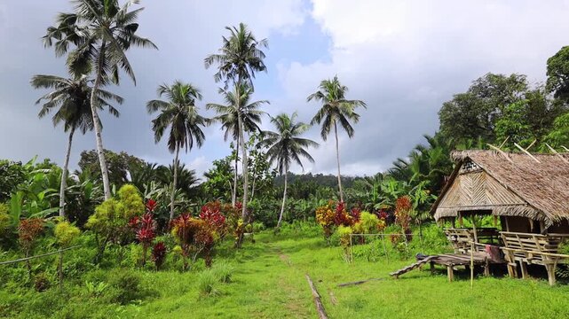 Traditional longhouse Uma in Mentawai tribe village on Siberut island in West Sumatra Indonesia
