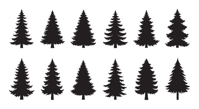 Collection of twelve black evergreen tree silhouettes in various shapes and styles, a minimalist set of fir and pine icons for nature or holiday themed graphic design