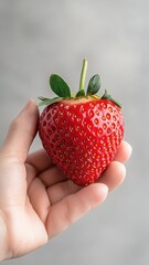 Obraz premium Hand holding a strawberry, focusing on its juicy texture and vibrant color.