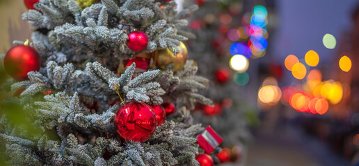Christmas tree on a city street
