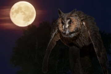 An owl takes off from a branch on a full moon night against the background of a full moon