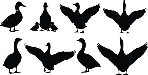 Duck and goose silhouette vector collection with flying and standing poses for wildlife and nature design, cad drawing flat vector illustration