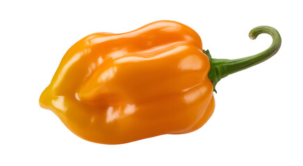 red bell pepper 
