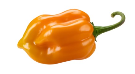 red bell pepper 

