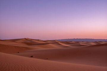 Fototapeta premium sand dunes in the desert