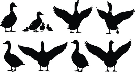 Duck and goose silhouette vector collection with flying and standing poses for wildlife, farm, and nature design, cad drawing flat vector illustration