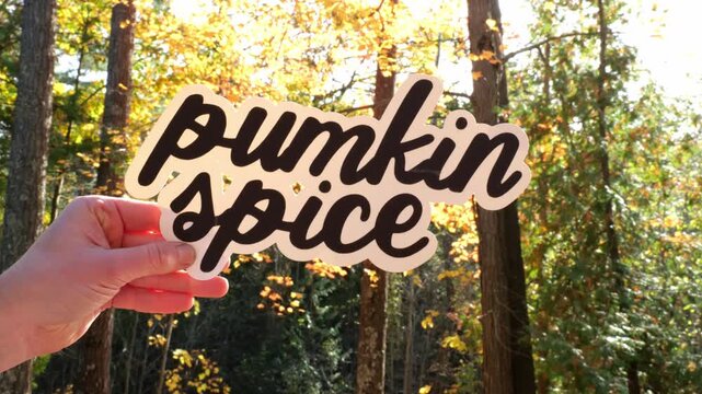 Close Up of Young Woman in Forest Holding Up Words Pumpkin Spice in the sunlight With Colorful Fall Leaves 4k Video Stock Footage