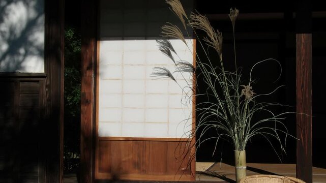 縁側のすすき