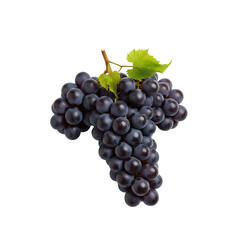 Fototapeta premium Luscious dark grapes cluster against darkness