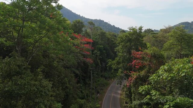 Aerial drone footage capturing the tranquil Bailan Village, beach, and tropical resorts on Koh Chang, Thailand