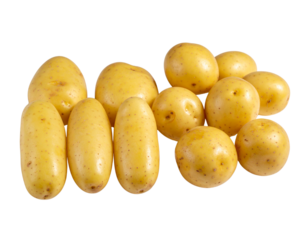Two Shiny New Potato Variations in One Frame, isolated on transparent background