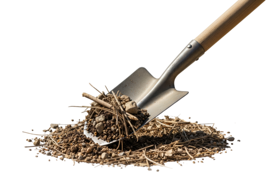 Garden shovel lifting pile of dry earth and pine needles on a transparent background