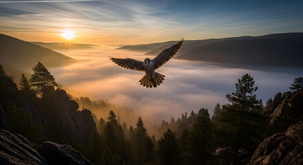 Falcon soars above misty valley at golden sunrise with mountains and trees