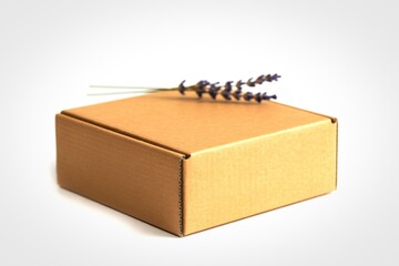 Simple cardboard box with delicate dried flower accent