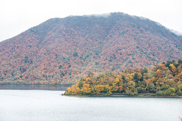 Motosuko lake, Fujikawaguchiko, Yamanashi, Japan, Autumn forest on mountain by calm lake in peaceful natural landscape