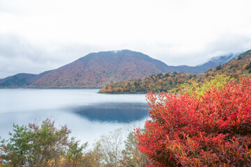 Motosuko lake, Fujikawaguchiko, Yamanashi, Japan, Autumn foliage by lake with mountain background in cloudy weather
